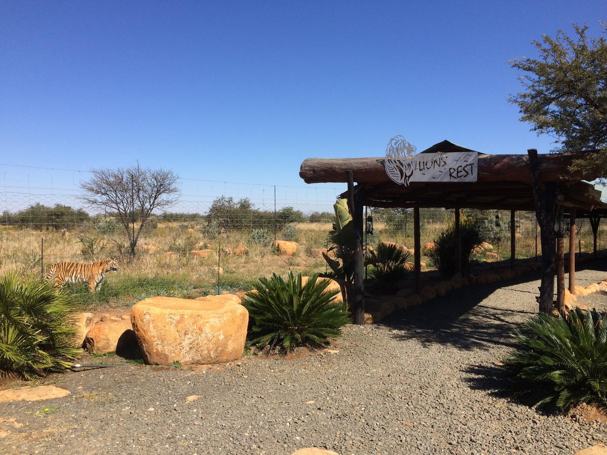 Boskoppie Lion & Tiger Reserve Kroonstad Exterior foto