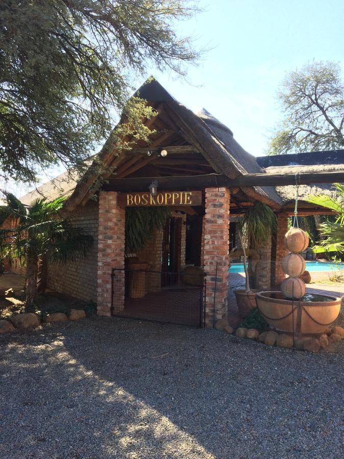 Boskoppie Lion & Tiger Reserve Kroonstad Exterior foto